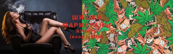 Альфа ПВП Бугульма