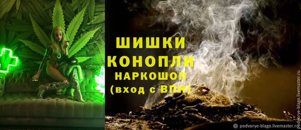 Альфа ПВП Бугульма