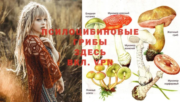 метадон Бронницы